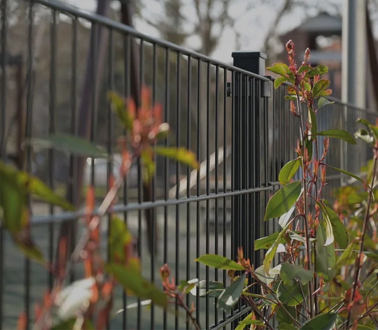 slider–banner1